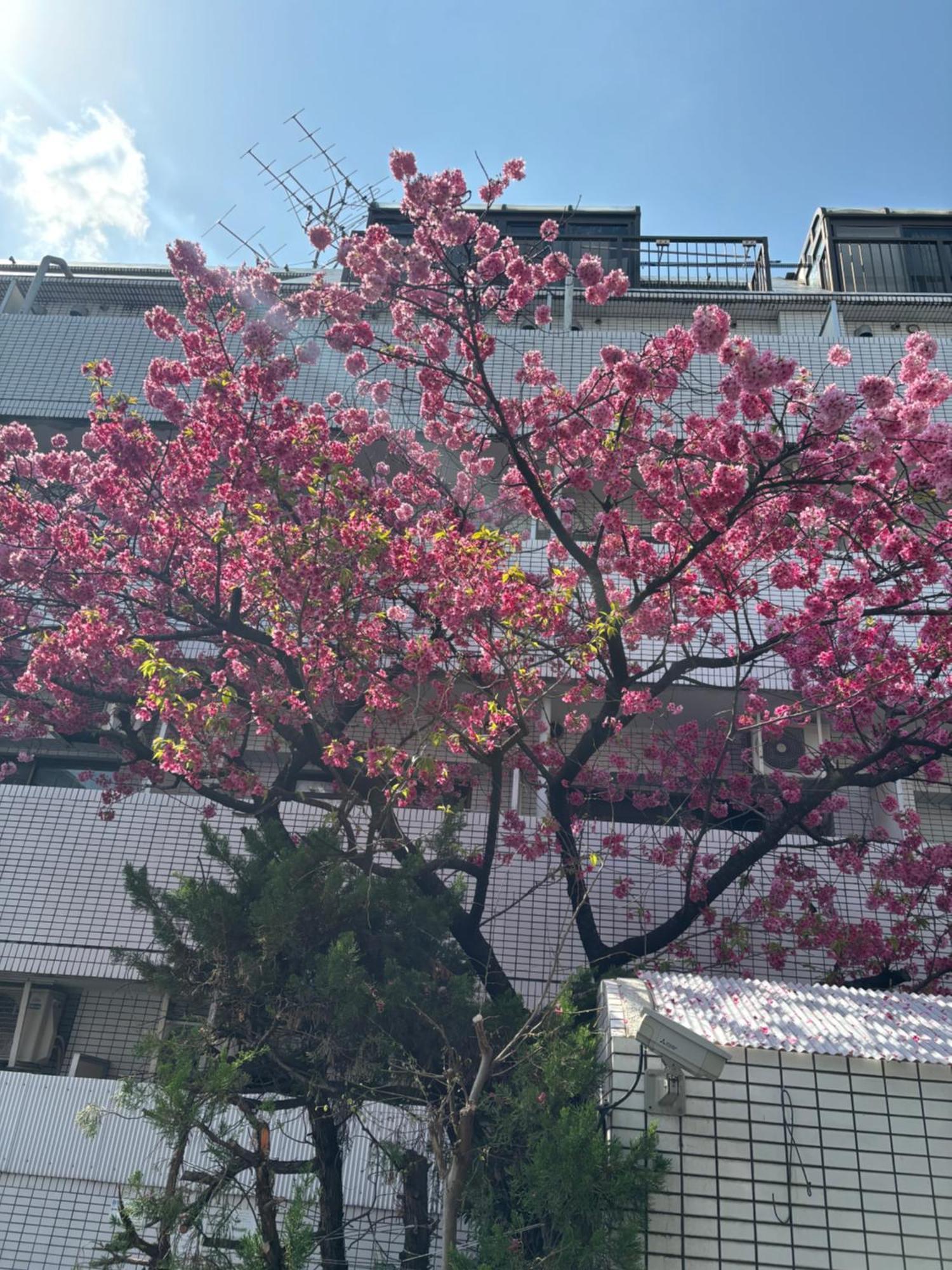 City Hotel Dolphin Tokyo Luaran gambar